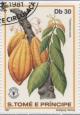 Colnect-938-196-Theobroma-cacao.jpg