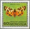 Colnect-895-253-garden-tiger-moth-Arctia-caja.jpg
