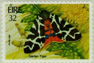 Colnect-129-208-Garden-Tiger-Moth-Arctia-caja.jpg