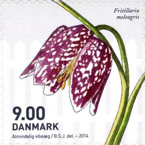 Colnect-2133-482-Fritillaria-meleagris-.jpg