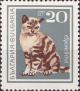 Colnect-3521-553-European-Domestic-Cat-Felis-silvestris-catus.jpg
