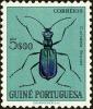 Colnect-4489-180-African-Blue-Tiger-Beetle-Cicindela-brunet.jpg