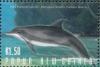 Colnect-4213-063-Indo-Pacific-bottlenose-dolphin-tursiops-aduncus.jpg
