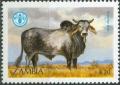 Colnect-1699-173-Brahman-Cattle-Bos-primigenius-indicus.jpg