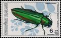 Colnect-2754-547-Jewel-Beetle-Chrysochroa-chinensis.jpg