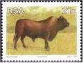 Colnect-873-682-Bonsmara-Cattle-Bos-primigenius-taurus.jpg