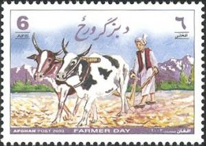 Colnect-543-709-Nkone-Cattle-Bos-taurus-with-Plow.jpg