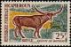 Colnect-1106-484-Watussi-Cattle-Bos-primigenius-taurus.jpg