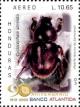 Colnect-3742-042-Scarab-Beetle-Cyclocephala-abrelata.jpg