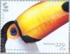 Colnect-182-531-Common-Toucan-Ramphastos-toco.jpg