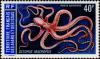 Colnect-793-026-Grass-Octopus-Octopus-macropus.jpg