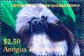Colnect-3911-504-Cotton-topped-tamarin.jpg