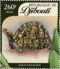 Colnect-4549-170-Leopard-tortoise-Stigmochelys-pardalis.jpg