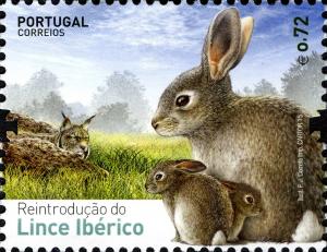 Colnect-2750-073-European-Rabbit-Oryctolagus-cuniculus-Iberian-lynx-Lynx-.jpg