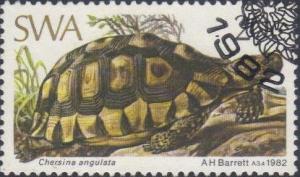 Colnect-2969-655-Angulated-Tortoise-Chersina-angulata.jpg