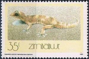 Colnect-3265-659-Tasmanian-Leaf-toed-Gecko-Hemidactylus-tasmani.jpg