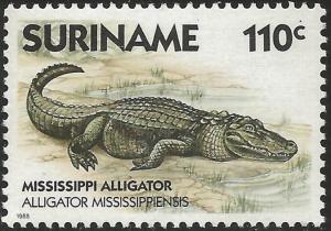 Colnect-3620-703-American-Alligator-Alligator-mississippiensis.jpg