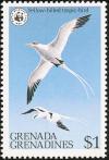 Colnect-2193-323-White-tailed-Tropicbird-Phaethon-lepturus.jpg