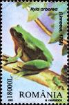 Colnect-5189-156-Common-Tree-Frog-Hyla-arborea.jpg