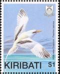 Colnect-1301-208-White-tailed-Tropicbird-Phaethon-lepturus.jpg