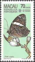 Colnect-1456-112-Banded-Treebrown-Lethe-confusa.jpg