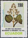 Colnect-4854-889-Cinchona-tree-Cinchona-cordifolia.jpg