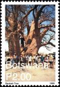 Colnect-6192-914-Baobab-Tree-Adansonia-digitata.jpg