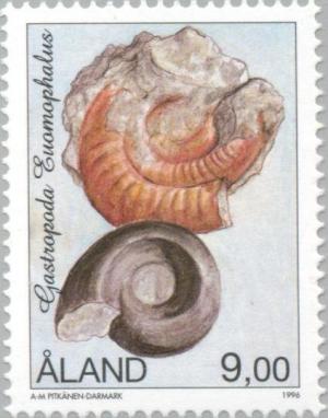 Colnect-160-822-Gastropod-Euomphalus.jpg