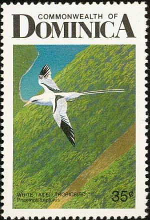 Colnect-1788-021-White-tailed-Tropicbird-Phaethon-lepturus.jpg