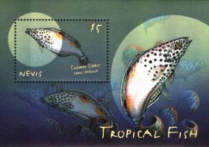 Colnect-4411-318-Tropical-Fish-3.jpg