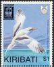 Colnect-1301-211-White-tailed-Tropicbird-Phaethon-lepturus.jpg