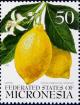 Colnect-2956-787-Lemon-Citrus-medica-var-limonum.jpg