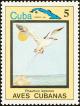 Colnect-3564-307-White-tailed-Tropicbird-Phaethon-lepturus.jpg