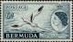 Colnect-3941-175-White-tailed-Tropicbird-Phaethon-lepturus.jpg