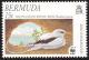 Colnect-5174-607-White-tailed-Tropicbird-Phaethon-lepturus.jpg