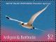 Colnect-6359-411-White-tailed-Tropicbird-Phaethon-lepturus.jpg