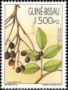 Colnect-1177-602-Fruits-of-Guinea-Bissau.jpg