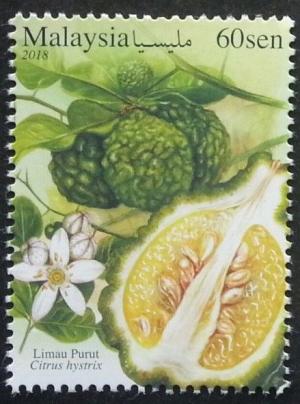 Colnect-4908-838-Citrus-Fruits-of-Malaysia--Kaffir-Lime.jpg