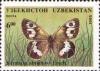 Colnect-783-964-Nymphalid-Butterfly-Karanassa-abramovi.jpg