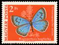 1971_Moth_Butterfly_200.jpg