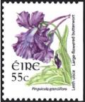 Colnect-1718-928-Large-flowered-Butterwort---Pinguicula-grandiflora.jpg