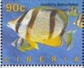 Colnect-4242-477-Four-banded-Butterflyfish-Chaetodon-hoefleri.jpg