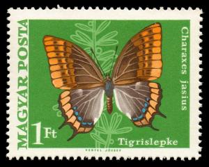 1969_Moth_Butterfly_100.jpg