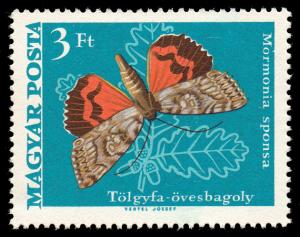 1972_Moth_Butterfly_300.jpg