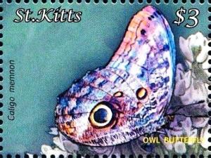 Colnect-3483-465-Owl-butterfly-Caligo-memnon.jpg