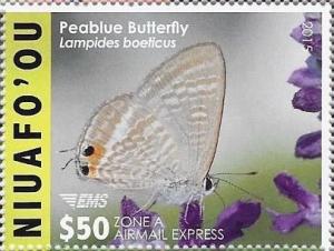 Colnect-4340-878-Peablue-Butterfly-Lampides-boeticus.jpg