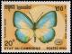 Colnect-2302-532-Danis-Butterfly-Tysonotis-danis.jpg