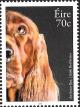Colnect-3441-179-Irish-Red-Setter-Canis-lupus-familiaris.jpg