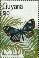 Colnect-3453-699-Metalmark-Butterfly-Stalachtis-phaedusa.jpg