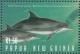 Colnect-4213-064-Two-Indo-Pacific-bottlenose-dolphins-tursiops-aduncus.jpg
